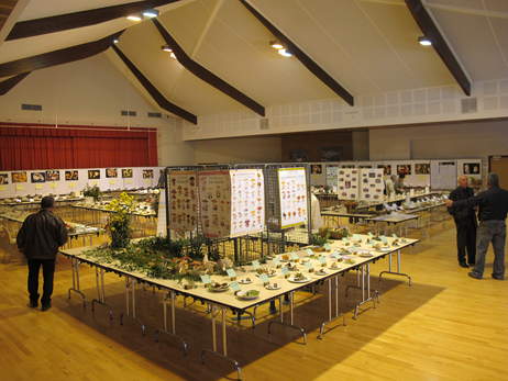 2012 exposition des champignons