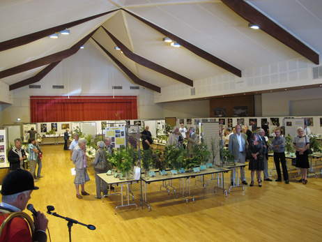2014-06-01-48ème exposition floralies alpines